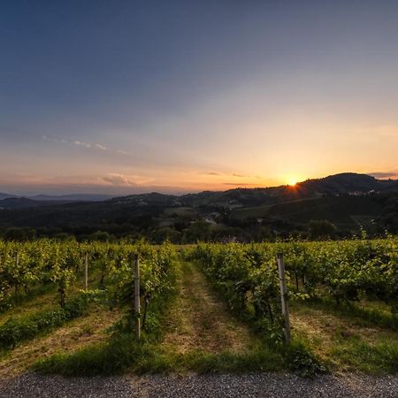 فندق Weingut Reiterer كيتسك إيم زاوزال المظهر الخارجي الصورة