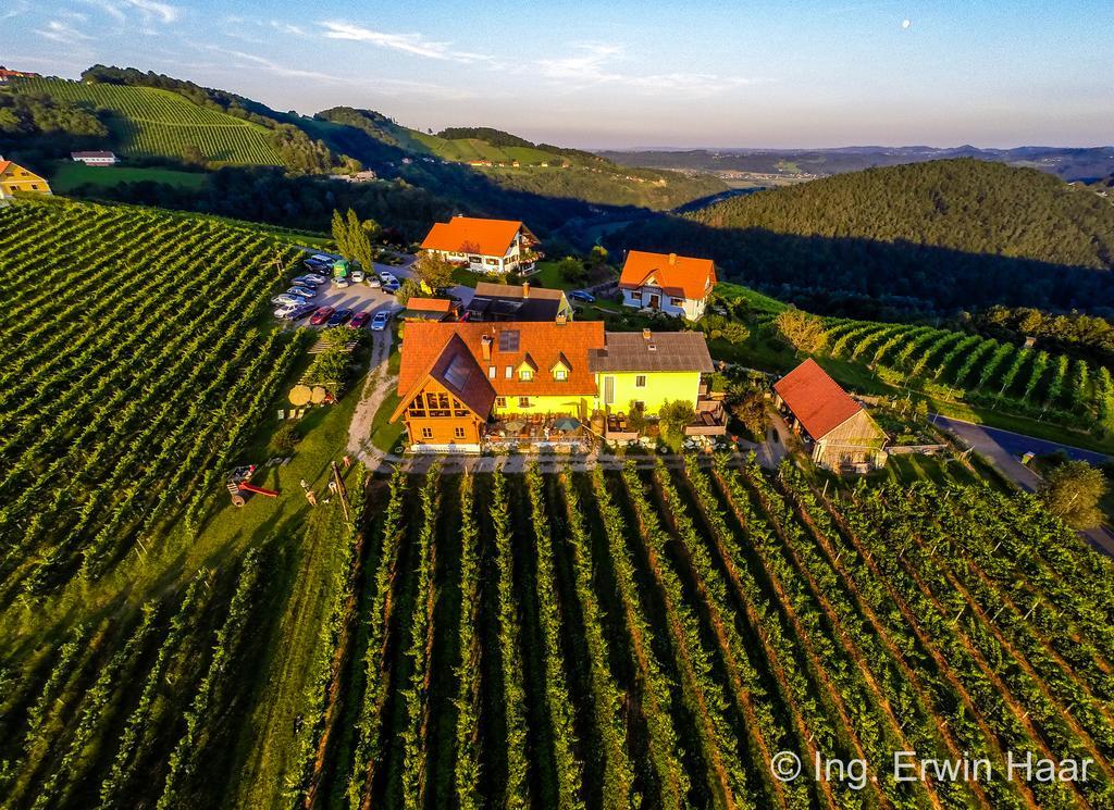 فندق Weingut Reiterer كيتسك إيم زاوزال المظهر الخارجي الصورة