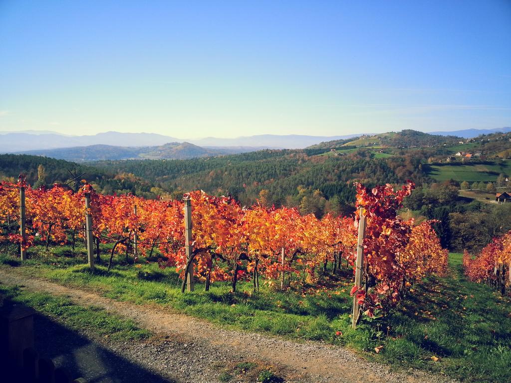 فندق Weingut Reiterer كيتسك إيم زاوزال المظهر الخارجي الصورة