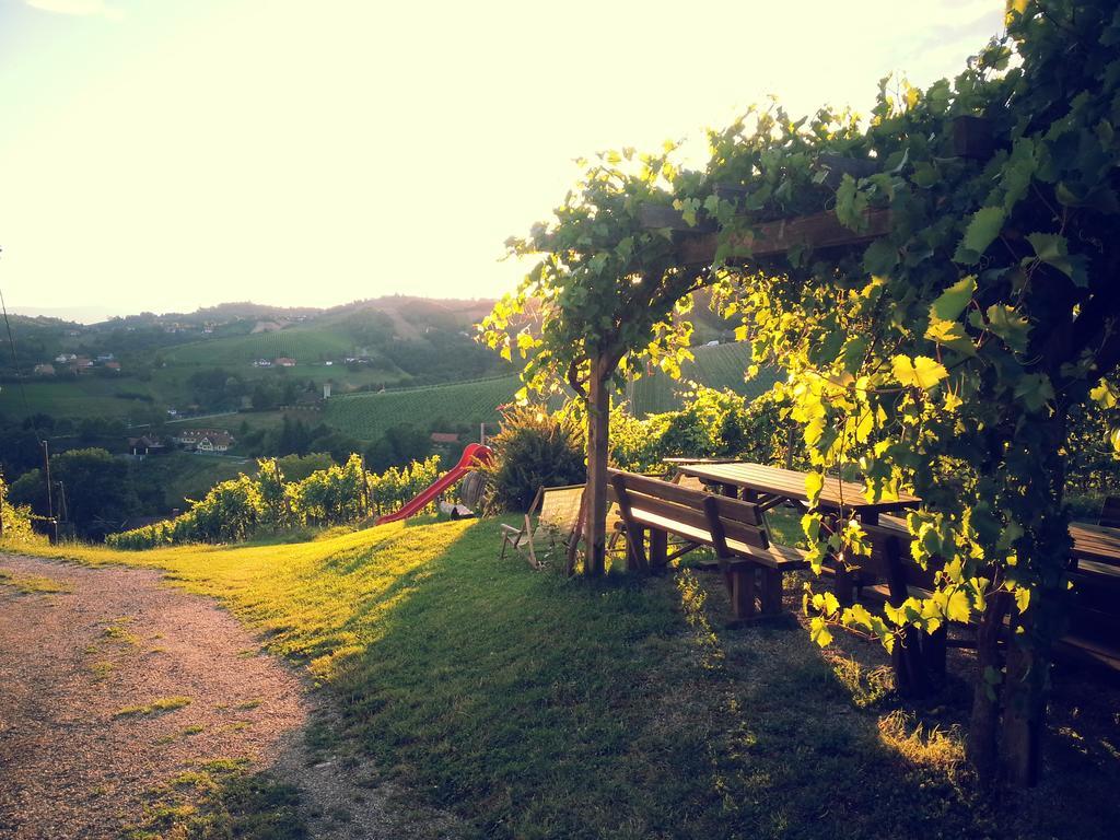 فندق Weingut Reiterer كيتسك إيم زاوزال المظهر الخارجي الصورة
