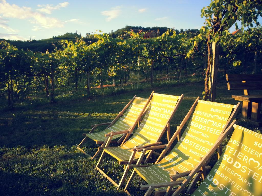 فندق Weingut Reiterer كيتسك إيم زاوزال المظهر الخارجي الصورة