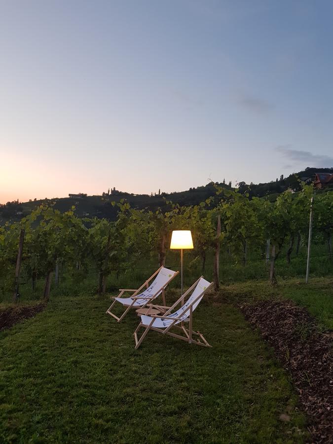 فندق Weingut Reiterer كيتسك إيم زاوزال المظهر الخارجي الصورة